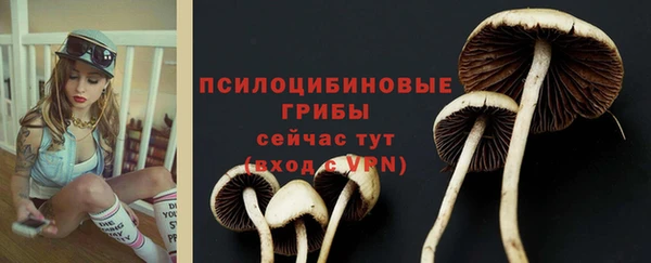 МДПВ Арсеньев