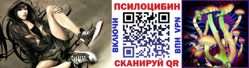 где можно купить Новая Ладога Галлюциногенные грибы мицелий