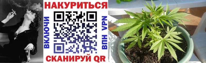 продажа наркотиков  Новая Ладога  Бошки Шишки конопля 